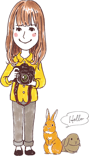 ウサグラフイメージ