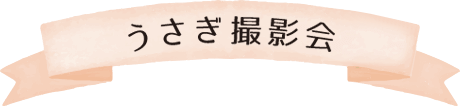 うさぎ撮影会