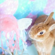 ジェリーフィッシュカフェ