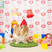 木のおもちゃのお部屋