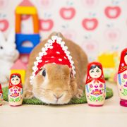 木のおもちゃのお部屋