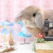 うさぎの仕立屋さん