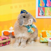 飛行機のレトロなお部屋