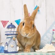 潮風香る♪サマールーム