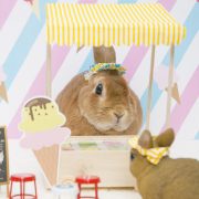うさぎのアイスクリームショップ