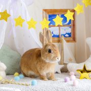 ロマンチックな星のお部屋