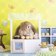 うさぎのメロンパン屋さん