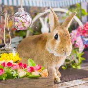 春の香りがするお花屋さん