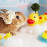 ぶくぶくバスルーム